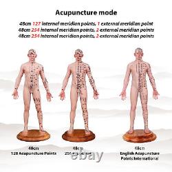 Acupuncture Model 48/55cm Human Acupoint Silicone Doll English Marking