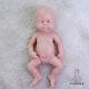 Cosdoll 15.5'' Soft Silicone Reborn Newborn Baby? Doll? Kids Gift Unpainted