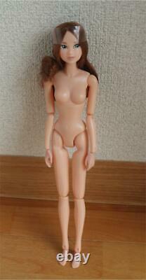 Doll Petworks Today'S Momoko 21Hb Jenny unused brand new Cool Face natural skin